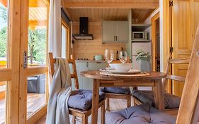 Bungalow Forest